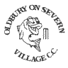 The village Cricket Club's website