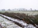 Hedge laying in Knighton, click for a bigger picture.