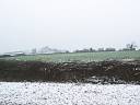 Hedge laying in Cowhill, click for a bigger picture.